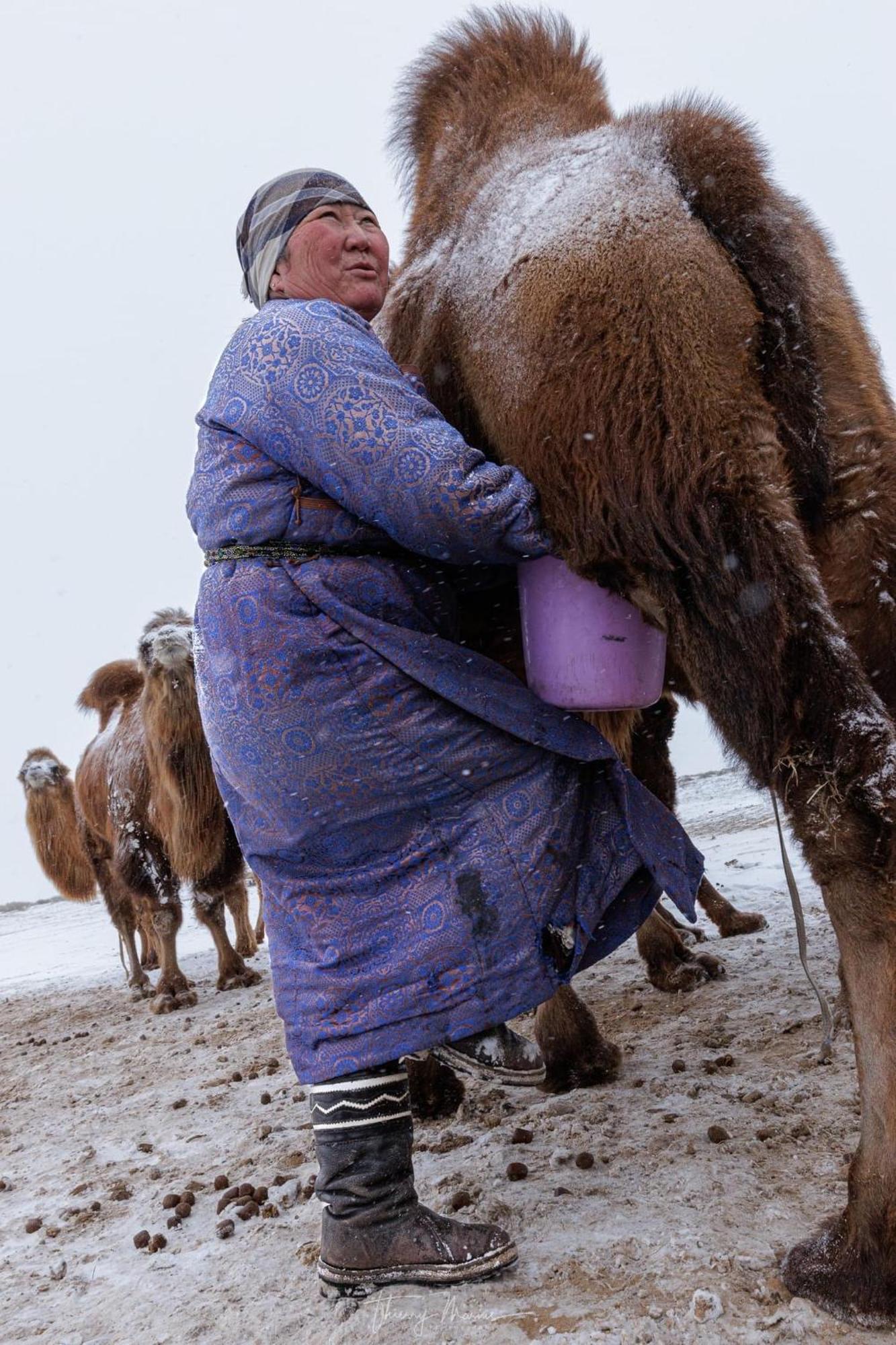 Hotel Gobi-Girl à Oulan-Bator Extérieur photo